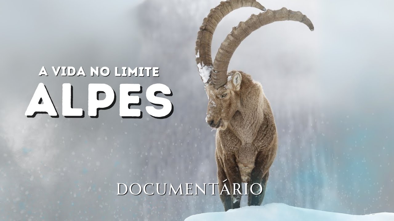 O Reino dos ALPES | Apenas os Mais Fortes Resistem | Documentário