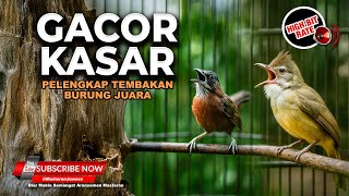 Download lagu 🔴 Roll Kasar Tepus Kepala Abu Abu Gacor Panjang vs Cucak Jenggot Beset Greja Pelengkap Lagu Juara mp3 Download lagu 🔴 Roll Kasar Tepus Kepala Abu Abu Gacor Panjang vs Cucak Jenggot Beset Greja Pelengkap Lagu Juara mp3