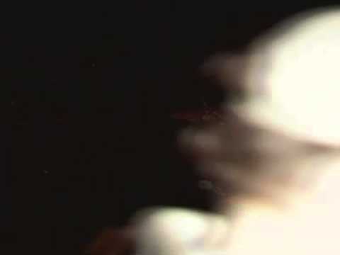 May 22, 2011 - Joplin Tornado TWC Internet Live Stream Part 8