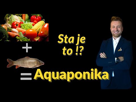 Sta je to Aquaponika  , Aquaponics , Akvaponika ??!!
