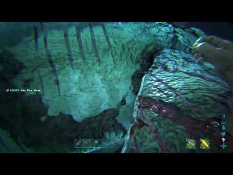 200 IQ PLESIOSAUR IN ARK