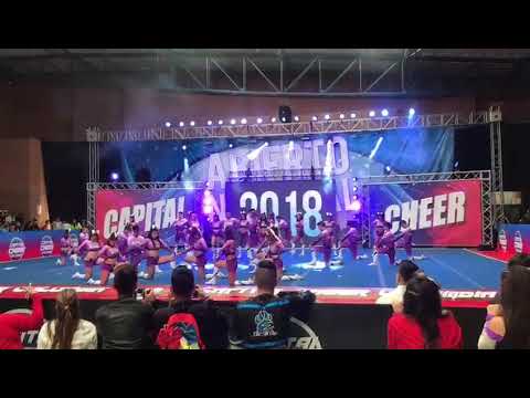 NPC 4.2 Capital 2018