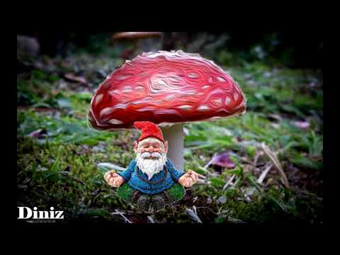 Cogumelos azuis - Ventania (DINIZ MUSIC remix)