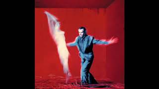 Peter Gabriel - Only Us