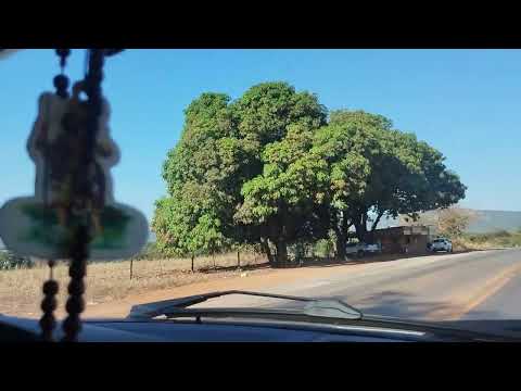 Visita ao capão verde passeio ao capão verde mato grosso