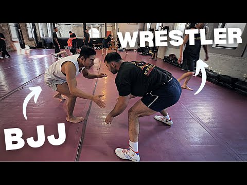 BJJ vs High Level Wrestler (WHO WINS?)