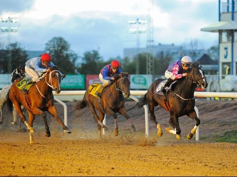 Silver Ocean wins Pramms Memorial 2015