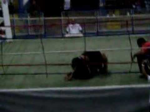 rafael cachorro loko parte III