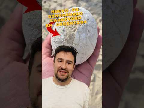 PALEONTÓLOGOS ENCUENTRAN HUEVO DE DINOSAURIO CARNÍVORO