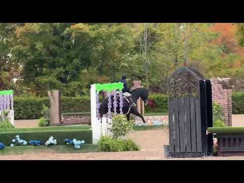 Dalmore video 3