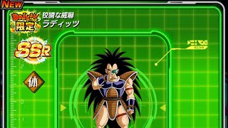 フェス限ラディッツ狙ってみた