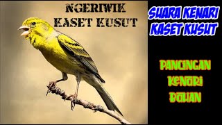 Download lagu Suara Kenari NGeriwik KAset Kusut... mp3