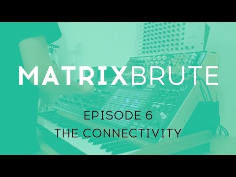 MatrixBrute Introduction Tutorial: Episode 6 - The Connectivity