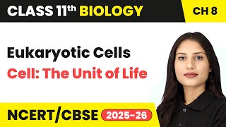 Eukaryotic Cells - Cell: The Unit of Life | Class 11 Biology Chapter 8 | CBSE 2024-25