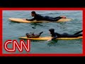Adorable baby seal shows off its surfing skills