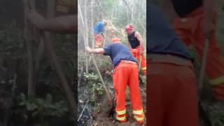 irpinia-brucia-ultime-operazioni-di-spegnimento