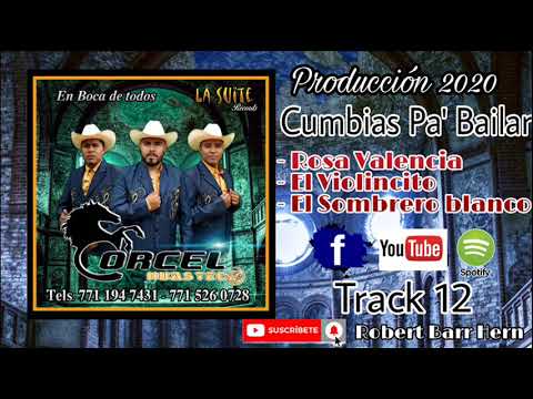 TRIO CORCEL HUASTECO "CUMBIAS PA" BAILAR" CD 2020.