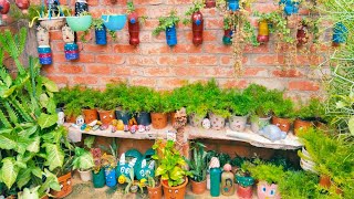 बिसलेरी कोल्डड्रिंक की बोतल से बनाएं गार्डन के न्यू प्लांटर#gkgarden #garden #kabadse jugaad#viral