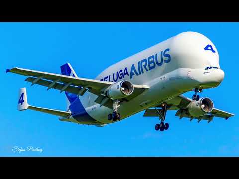 Airbus A300-600ST. O prezență regulată la Baia Mare după  ce UACE  finalizează fabrica.