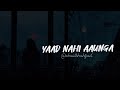 X ZONE YAAD NAHi AAUNGA FULL SONG