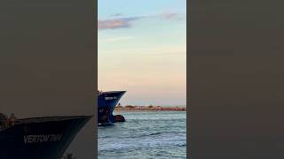 VERTOM THEA 🛟 #like #share #subscribe #shortvideo #shortsvideo #cruise #vacation #youtubeshorts #yt