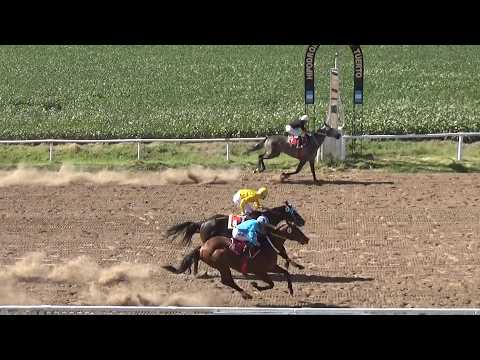 Claudioturf Hipódromo Venado Tuerto: La Yoyi, Siempre y Cuando, Don Sebastián 01.03.2026