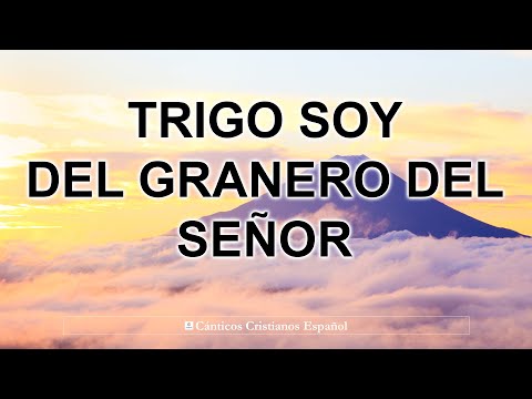 TRIGO SOY DEL GRANERO DEL SEÑOR - Estos himnos tienen un precioso mensaje y antiguos