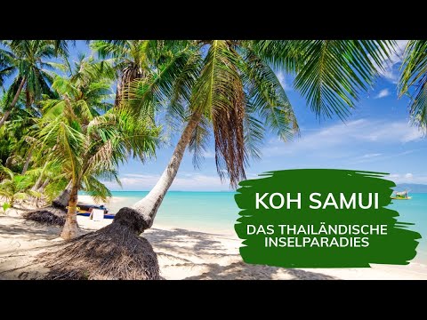 Warum Koh Samui? Unsere Highlights – Strände, Tempel, Ausflüge & Tipps
