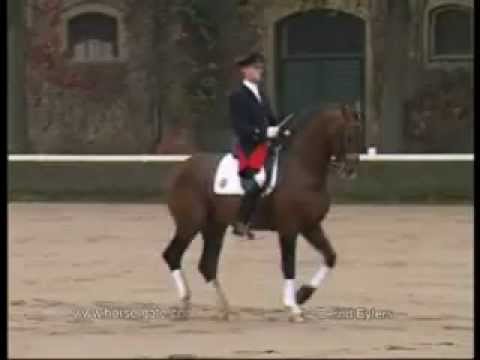 Gut Neuenhof Estobar NRW Vater Ehrentusch