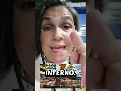 Yaracuy, Sucre y Zulia renuevan sus centrales azucareros para el consumo nacional #azucar #noticias