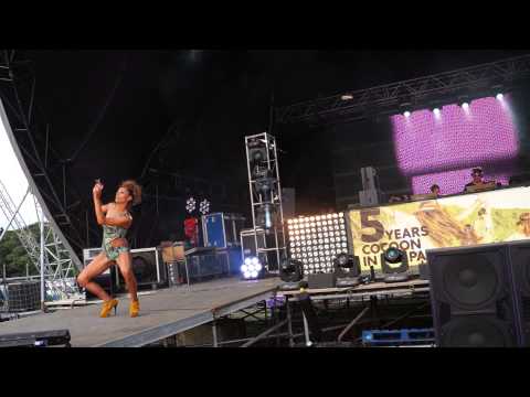 Sven Vath @ Cocoon In The Park 13.07.2013 (2)