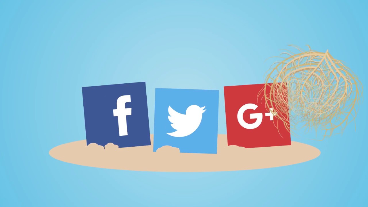 Reputation Management Case Study