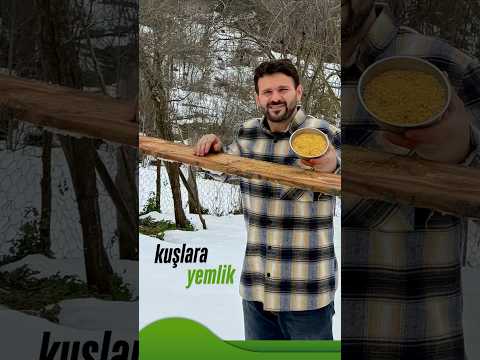 Kuşlar için yerden yüksek bir yemlik yaptım bugün#kastamonu #köydeyaşam #tabiat #reklamdeğildir