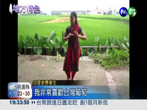 彰化葡萄公主選拔 400多人競豔