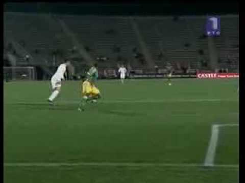 [High Quality]South Africa vs Serbia 1 - 3 Zoran Tosic 2 Goals