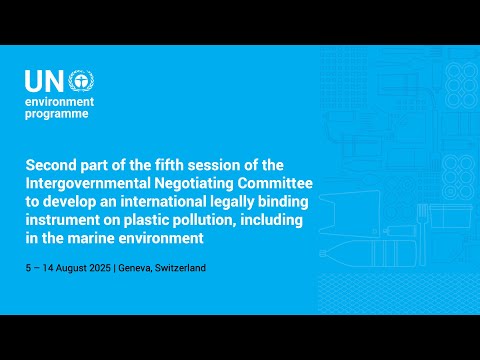 INC-5.2 on plastic pollution (part 3)