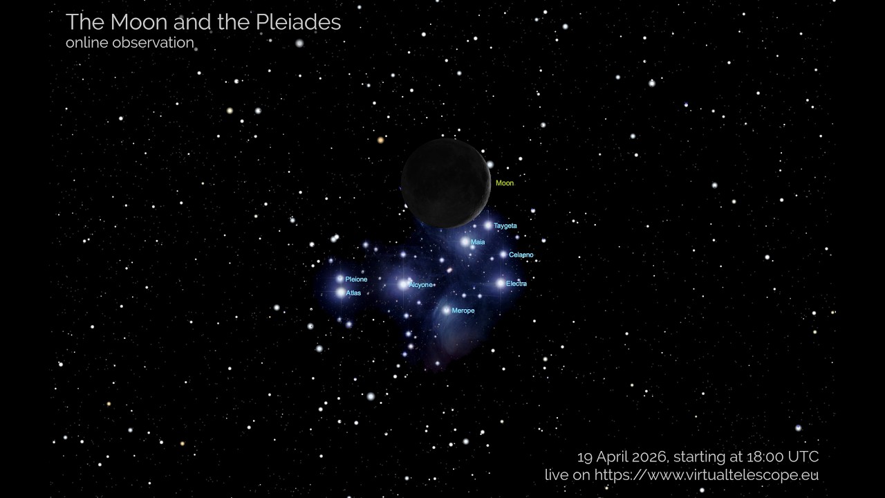 The Moon and the Pleiades, a spectacular occultation: online observation – 19 April 2026