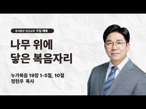 나무 위에 닿은 복음자리