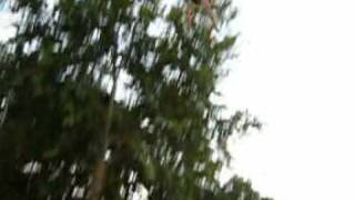 Beck bulgaria - nebunie