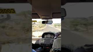 preview picture of video 'Kismayo Airport Road'