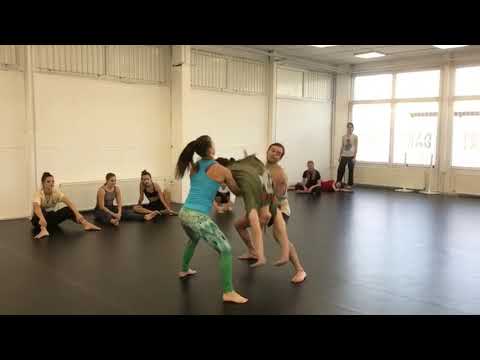 DART DSP - Noémi Marosvölgyi Acrobatics