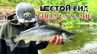 Сима на юге сахалина все о сахалинской рыбалке