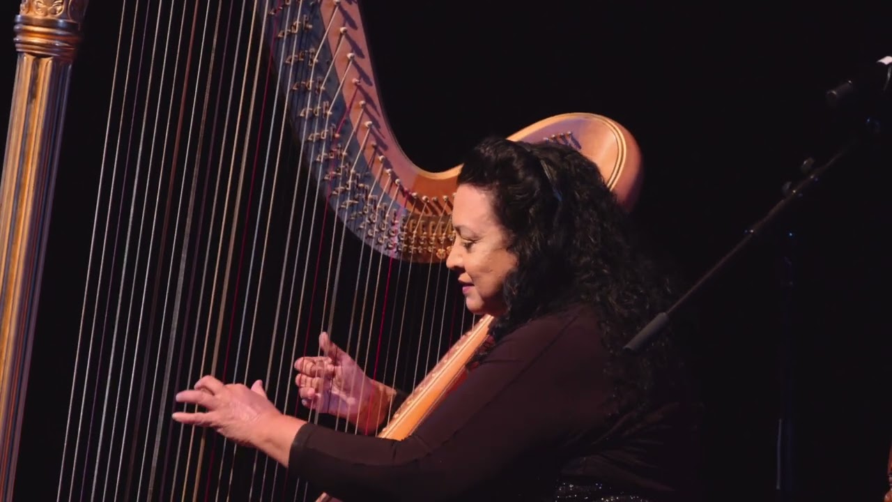 Promotional video thumbnail 2 for Romantic, Elegant Ambient Event Harpist