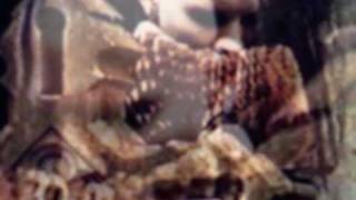 Sopor Aeternus - Rèsumè