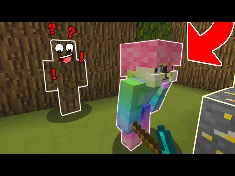 IL SEEKER NON MI TROVA E VINCO LA PARTITA!! Nascondino su Minecraft ITA