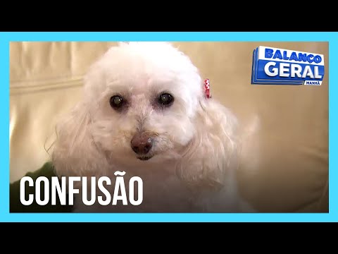 Dog with neurological problems barks excessively and causes fights between neighbors in building.