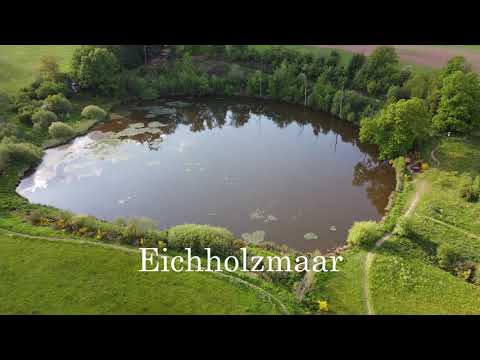 Die Eifel von oben - Eichholzmaar