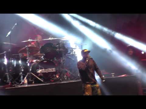 Limp Bizkit LIVE Bring The Noise (Public Enemy cover) with Anthrax Hamburg, DE 24.06.2014 FULLHD