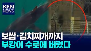 부캉이 수로에 보쌈과 김치찌개 버려