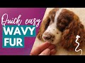 Needle Felt Wavy Curly Fur Quick Easy NO Need For Tongs Plaits Waiting For Wet Wool To Dry